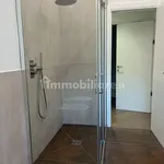 Rent 2 bedroom apartment of 90 m² in Milan