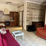 Rent 3 bedroom apartment of 90 m² in Roma