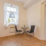 Rent 1 bedroom apartment of 41 m² in Liberec