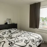 Rent 2 bedroom apartment in Beveren