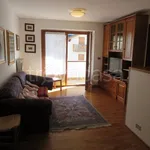 Rent 3 bedroom apartment of 70 m² in Santo Stefano di Cadore