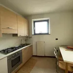 Rent 4 bedroom apartment of 90 m² in Milan