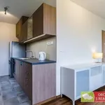 Pronajměte si 2 ložnic/e byt o rozloze 47 m² v Prague