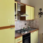 Rent 4 bedroom apartment of 100 m² in Torino