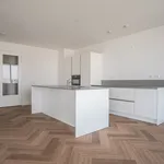 Rent 4 bedroom apartment of 134 m² in Nieuwe Werk