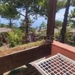 Rent 1 bedroom house of 40 m² in Maratea