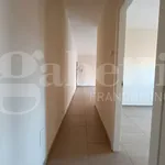 Rent 3 bedroom apartment of 100 m² in Syracuse