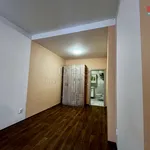 Rent 1 bedroom apartment in Ústí nad Orlicí