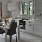 Rent 3 bedroom apartment of 60 m² in Riccione