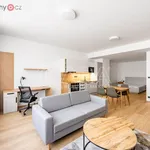 Rent 1 bedroom apartment of 65 m² in Trhový Štěpánov