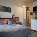 Rent 1 bedroom apartment of 24 m² in Prague