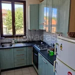 Rent 2 bedroom apartment of 55 m² in Urbino