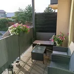 Rent 2 bedroom apartment in Vyškov