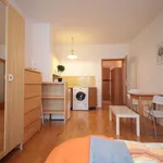 Rent 1 bedroom apartment of 30 m² in Prague