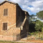 Rent 8 bedroom house of 150 m² in Civita Castellana