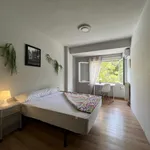 Rent 3 bedroom apartment in Granada