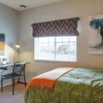 Rent 1 bedroom apartment in San Marcos