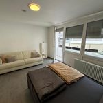 Rent 1 bedroom apartment of 30 m² in Stuttgart