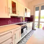 Rent 2 bedroom apartment of 70 m² in Novara