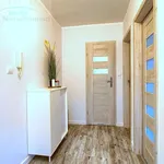 Rent 3 bedroom apartment of 49 m² in Toruń