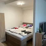 Rent 1 bedroom apartment in Praha 5