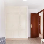 Rent 4 bedroom apartment in Seville