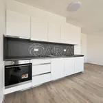 Rent 1 bedroom apartment in Brno