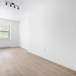  appartement avec 1 chambre(s) en location à Montreal