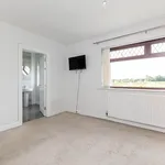 Rent 3 bedroom house in lisburn