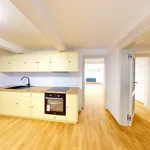 Rent 3 bedroom apartment in Plzeň