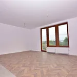 Rent 2 bedroom apartment of 49 m² in Sosnowiec