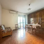 Rent 3 bedroom apartment of 65 m² in Viareggio