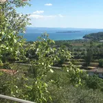 Rent 2 bedroom apartment of 50 m² in Lonato del Garda