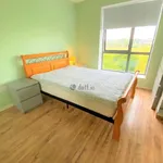 Rent 2 bedroom apartment in Dublin