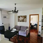 Rent 2 bedroom apartment of 50 m² in Milan