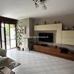 Rent 2 bedroom apartment of 71 m² in Bergamo