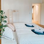 Miete 3 Schlafzimmer wohnung von 80 m² in Mannheim