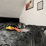 Miete 1 Schlafzimmer wohnung von 25 m² in Essen