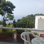 Rent 2 bedroom apartment of 40 m² in Capri