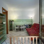 Rent 1 bedroom apartment of 25 m² in Turin