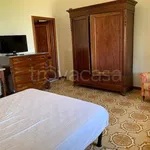 Rent 1 bedroom apartment of 35 m² in Pontedera