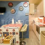 Rent 2 bedroom apartment of 40 m² in Pisa