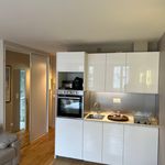 Rent 1 bedroom apartment of 32 m² in Paris