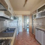 Rent 1 bedroom house of 212 m² in Rome