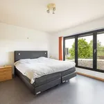 Maison de 1036 m² avec 4 chambre(s) en location à Hoogstraten