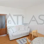 Rent 2 bedroom apartment of 56 m² in Prague