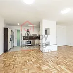 Rent 1 bedroom house of 300 m² in Prague