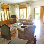 Rent 3 bedroom apartment of 120 m² in Roma