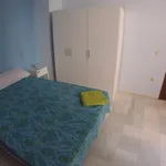 Rent 8 bedroom apartment in Seville