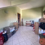 Rent 3 bedroom apartment of 70 m² in Nichelino